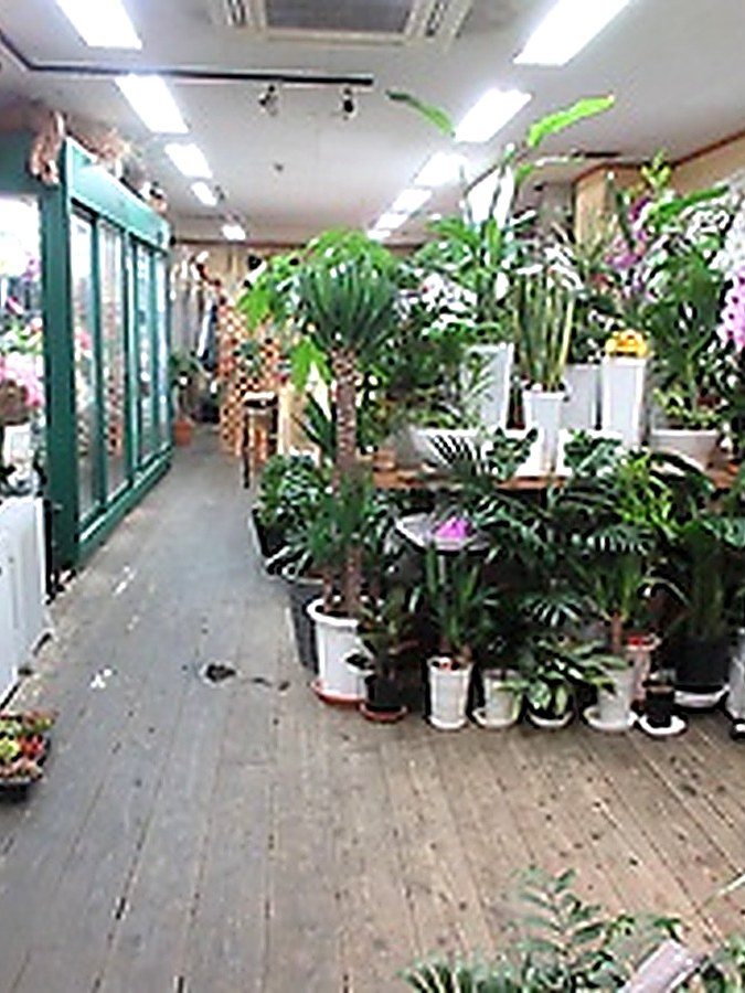 風花福岡本店 店内の様子
